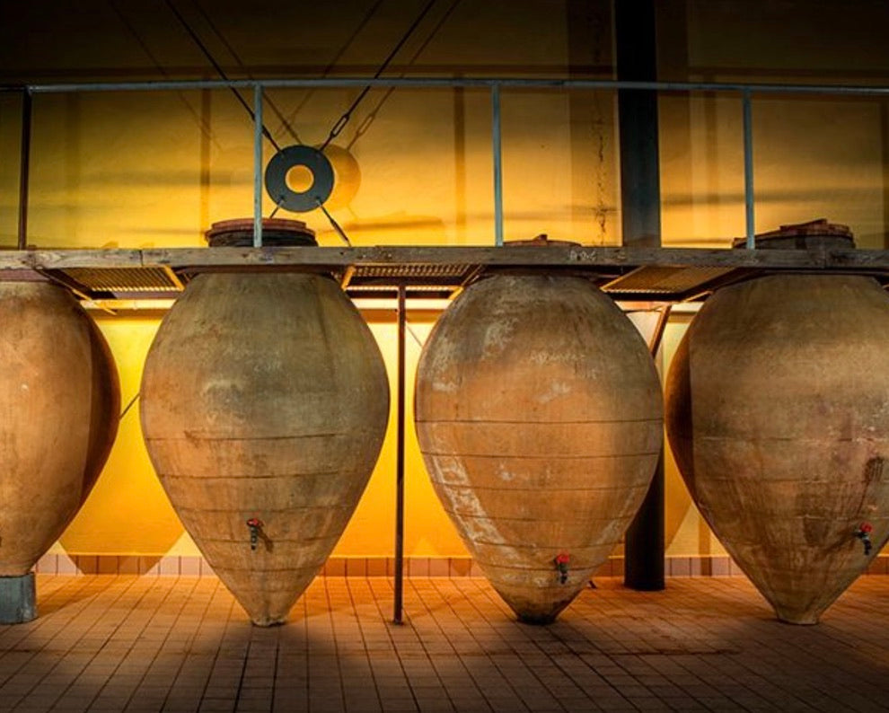 Pradorey Tempranillo Tasting