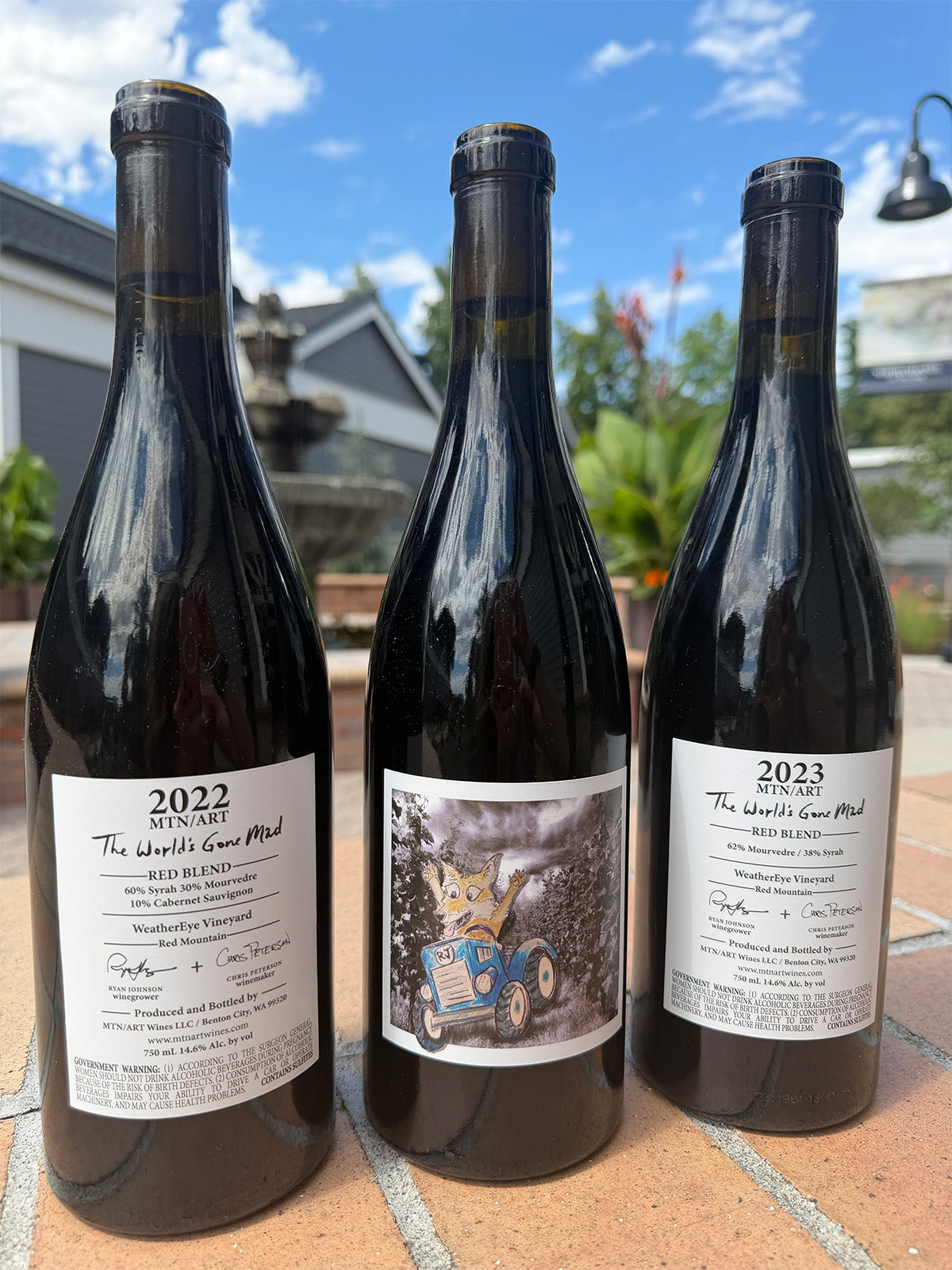 MTN/ART The World's Gone Mad Red Blend