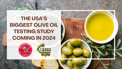 The USA’s Biggest Olive Oil Testing Study Launching in 2024