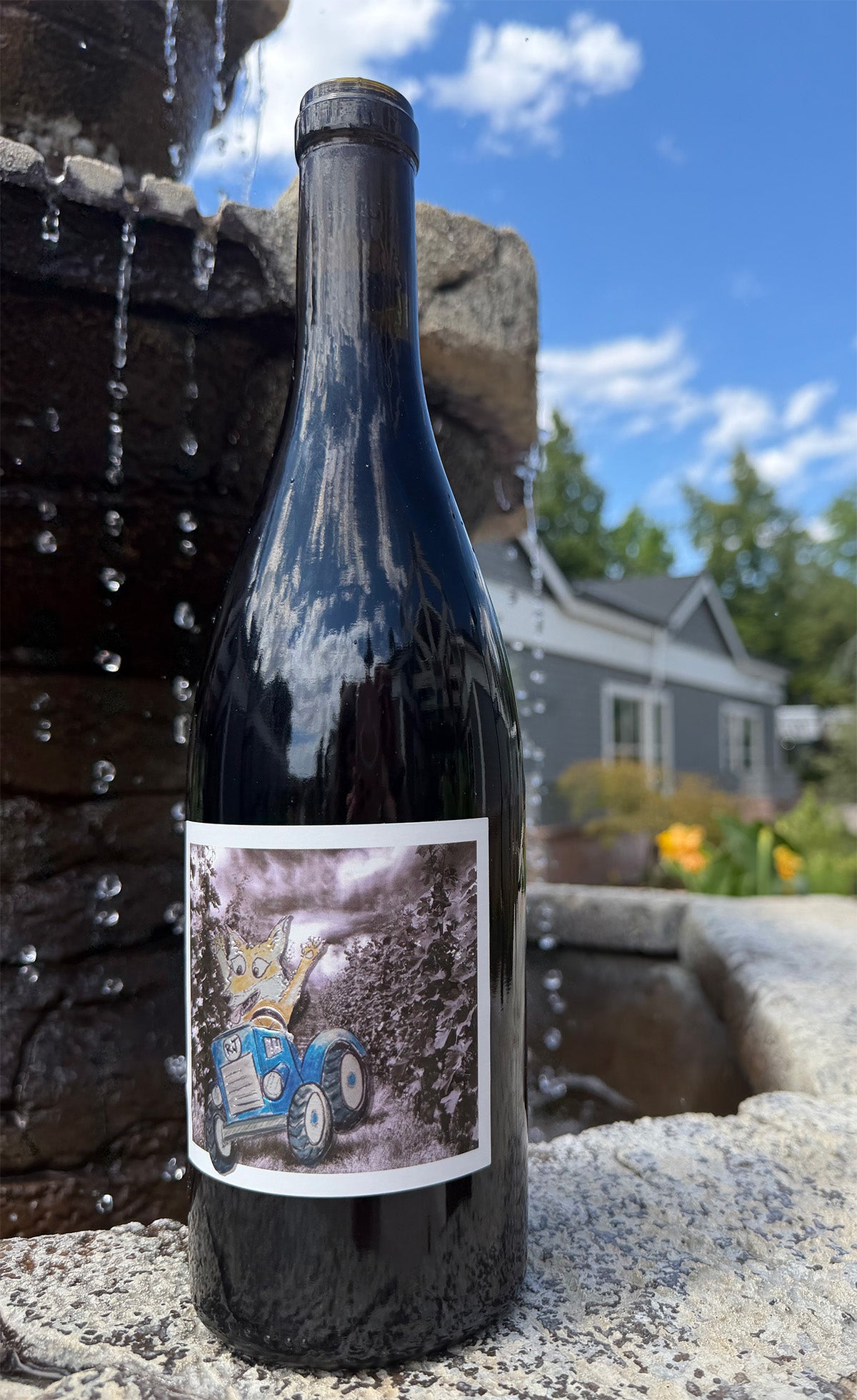 MTN/ART The World's Gone Mad Red Blend