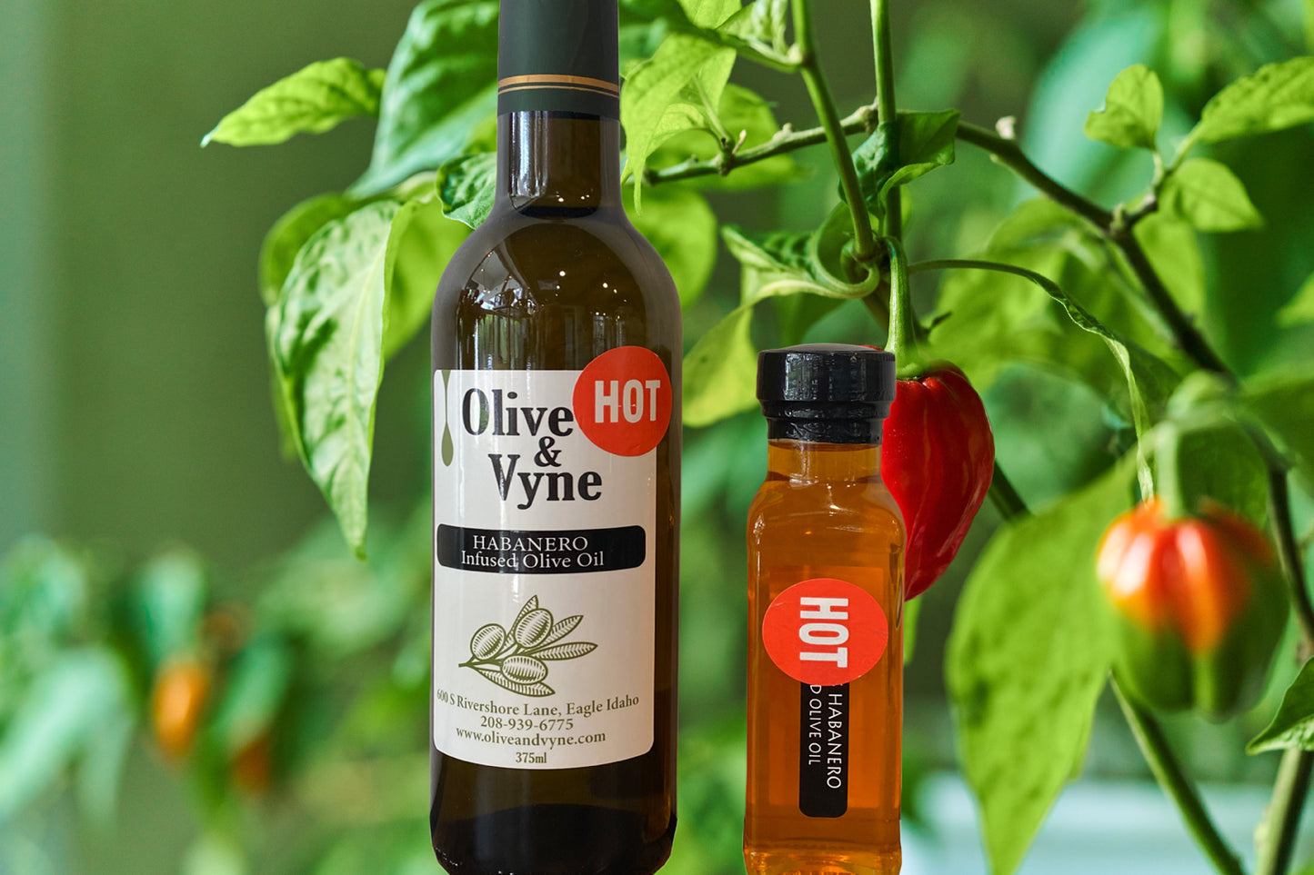 Hot Habanero Olive Oil